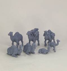 Camel Caravan Set